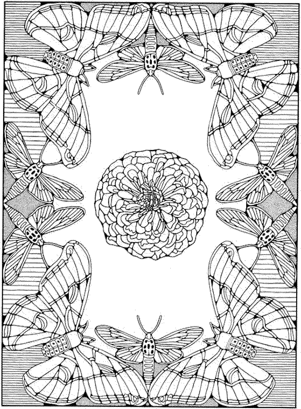 owl coloring pages for adults - Printable Kids Colouring Pages