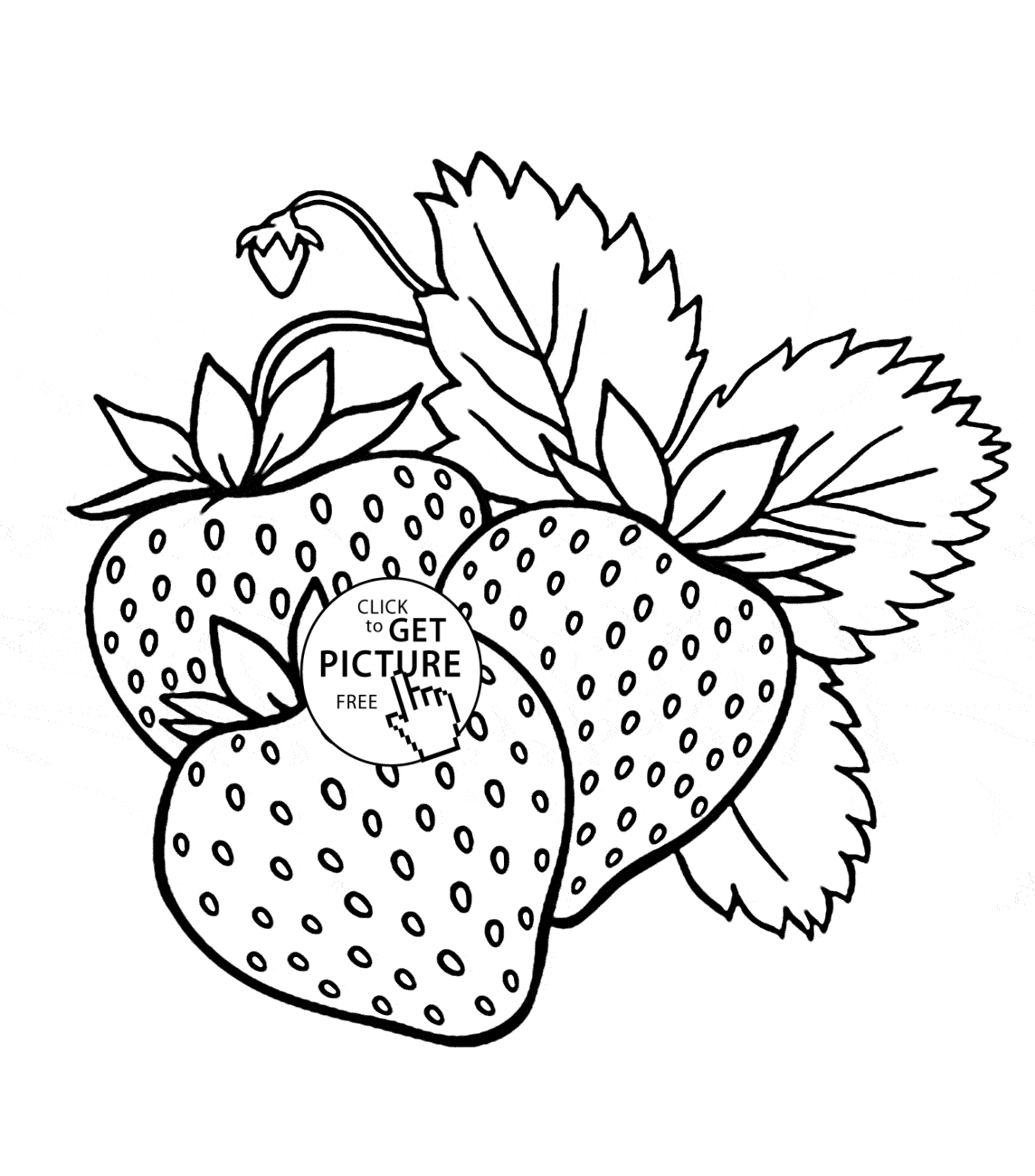 Yummy Strawberries Fruit coloring page for kids, fruits coloring ...