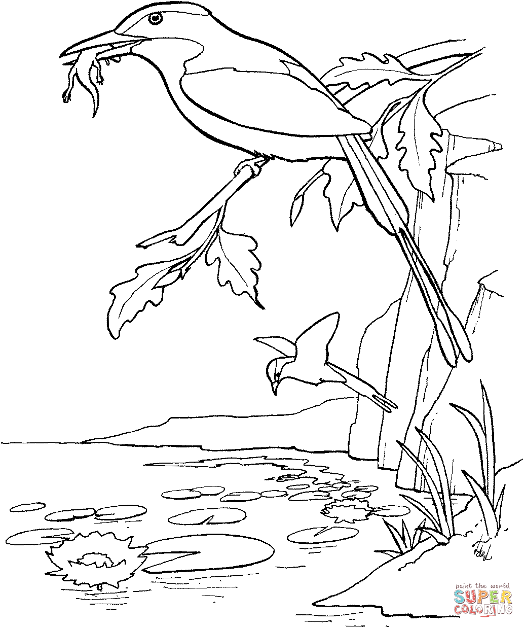 Pink-Breasted Kingfisher coloring page | Free Printable Coloring Pages