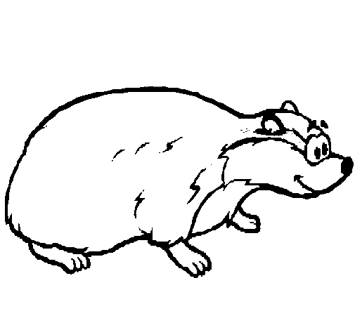 Badger coloring page - Coloringcrew.com