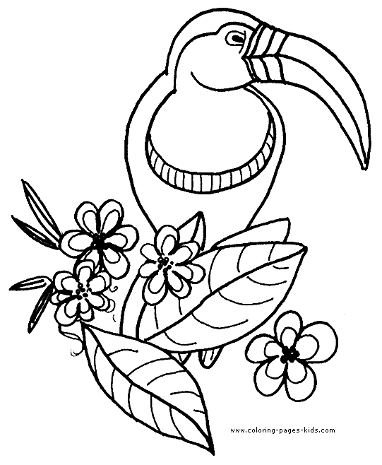 Easy to Color Parrot Birds Coloring Pages Parrot Top Birds ...