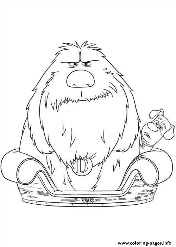 Duke In Max Bed Secret Life Of Pets Coloring Pages Printable