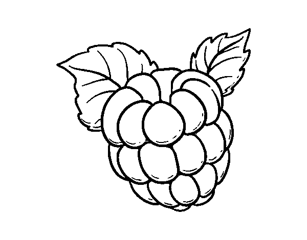 Raspberry coloring page - Coloringcrew.com