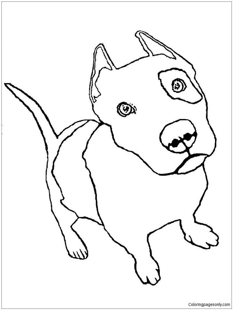 Pit Bull Puppy Coloring Pages - Puppy Coloring Pages - Coloring Pages For  Kids And Adults
