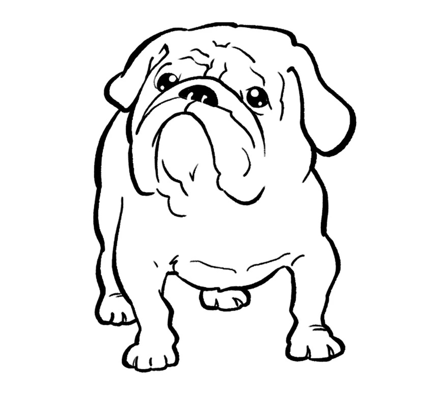 Dog Coloring Pages for Kids. Print Them Online for Free!