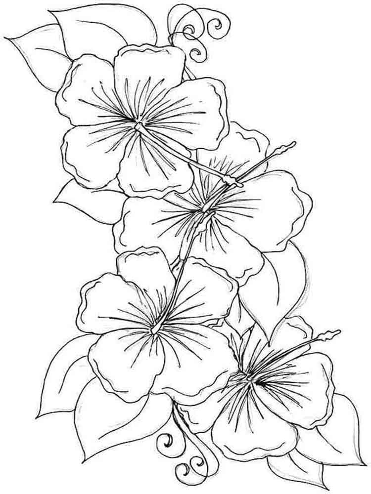 Hibiscus Flowers 3 Coloring Page - Free Printable Coloring Pages for Kids