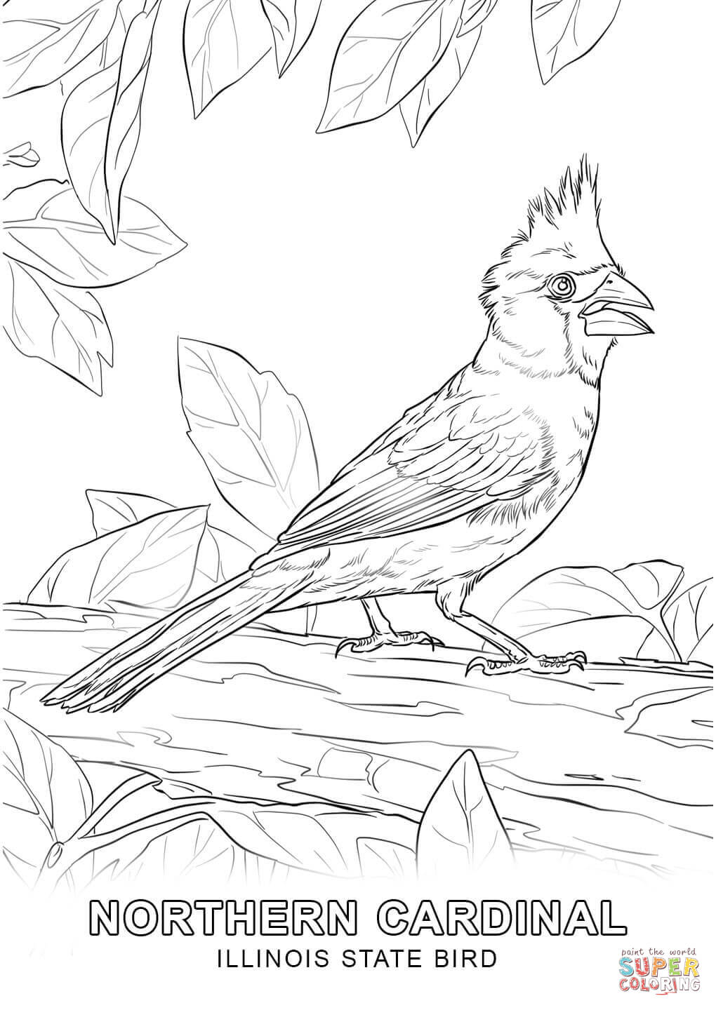 Illinois State Bird coloring page | Free Printable Coloring Pages