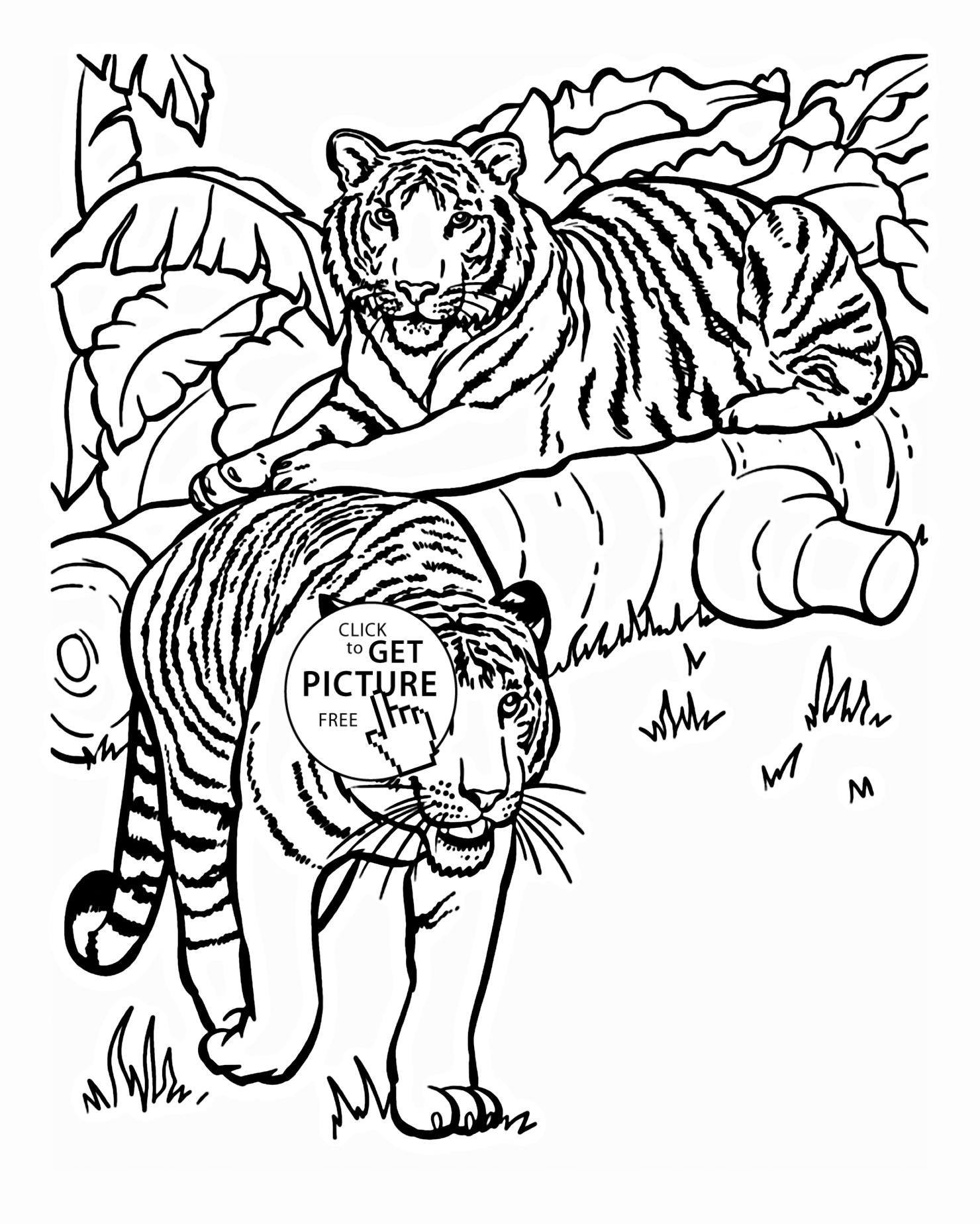 Tigers animal coloring page for kids, animal coloring pages ...