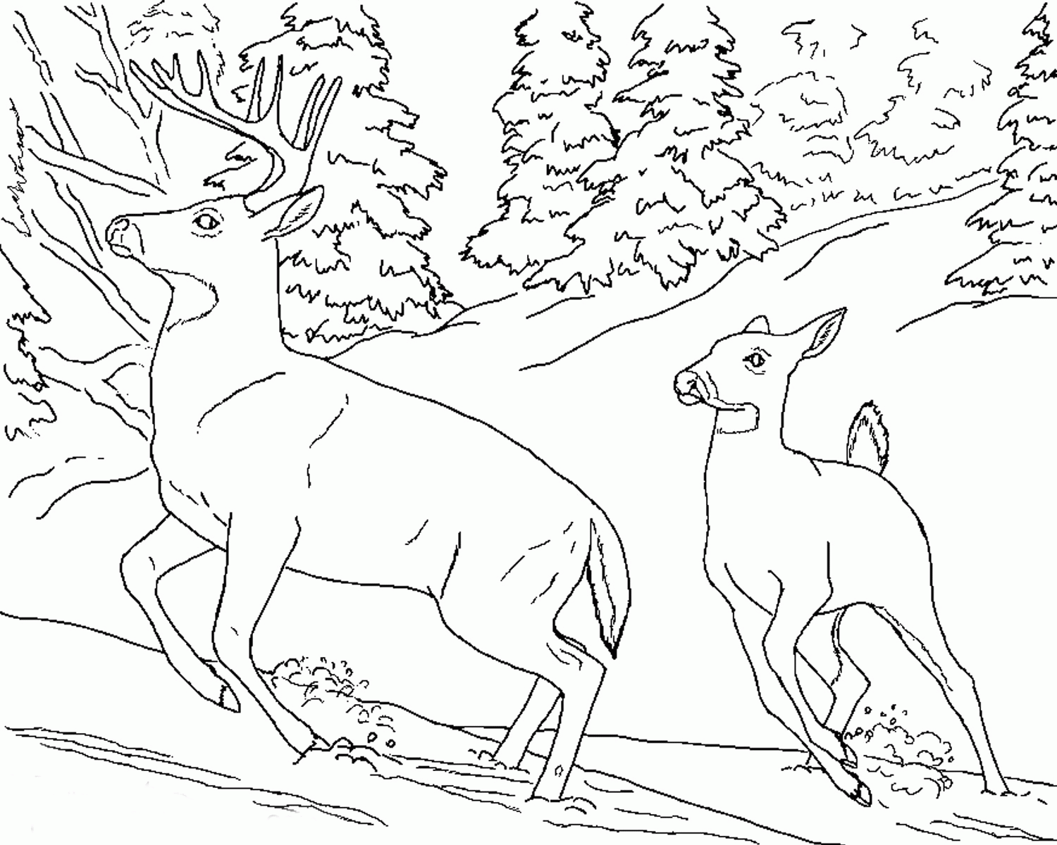 Animal coloring pages free printable animals coloring pages ...