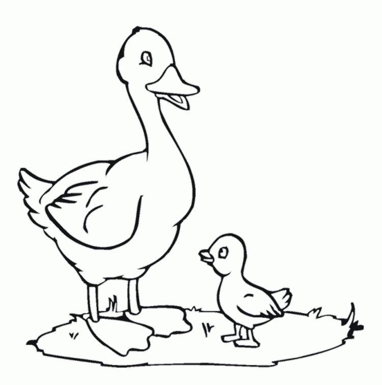 Giggle Giggle Quack Coloring Page