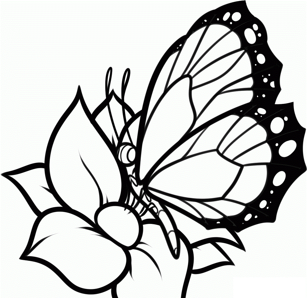 Butterflies And Hearts Coloring Pages - Coloring Pages For All Ages