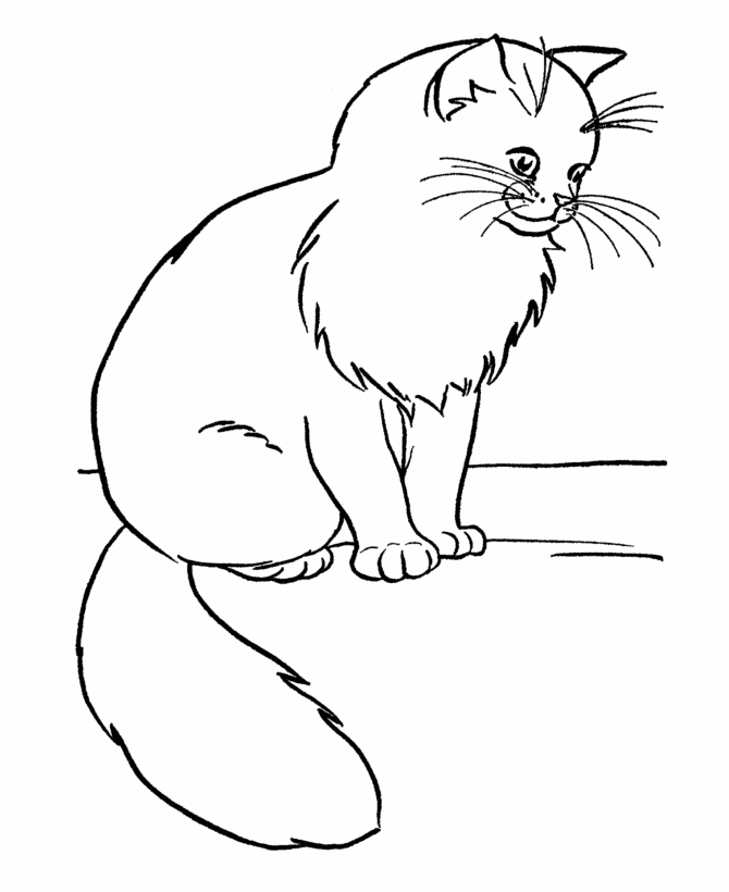 adorable Cat coloring pages for kids | Great Coloring Pages