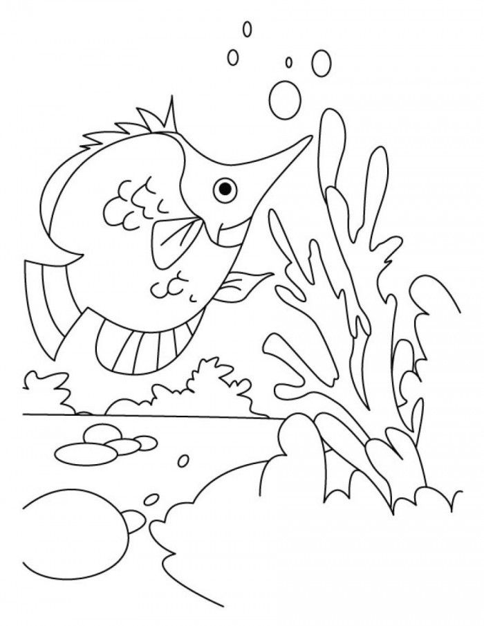 Fish Coloring Pages Games