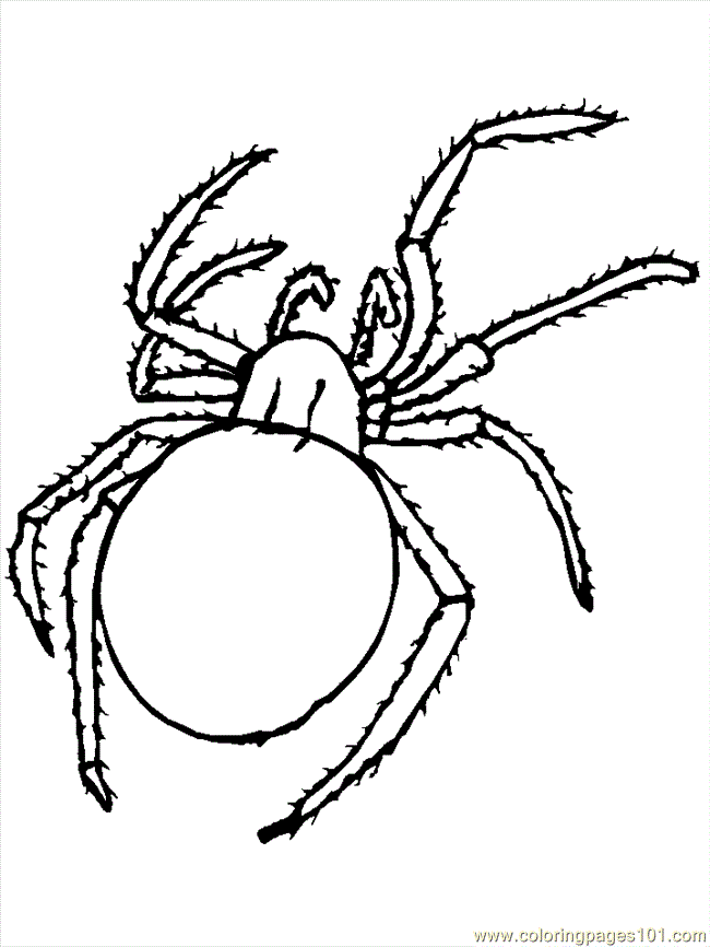 Coloring Pages Spider Coloring 5 (Animals > Others) - free 