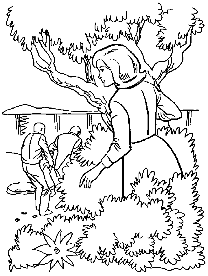 Nancy Drew Colouring Pages