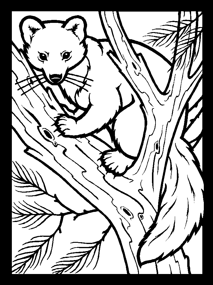 Animal Prints Colouring Pages (page 2)