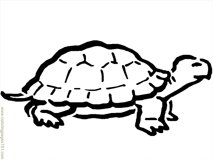 Coloring Page Turtle Coloring (Reptile > Turtle) - Coloring Nation