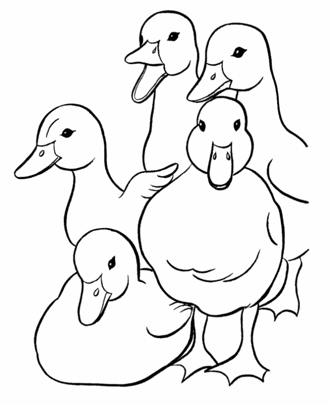 Free Printable Duck Coloring Pages For Kids