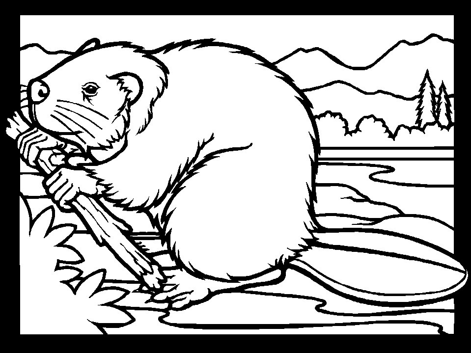 Beaver Lodge Coloring Page Images & Pictures - Becuo