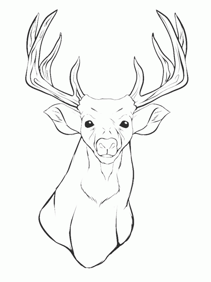Printable Deer Head Coloring Pages - Animals Coloring : oColoring.com
