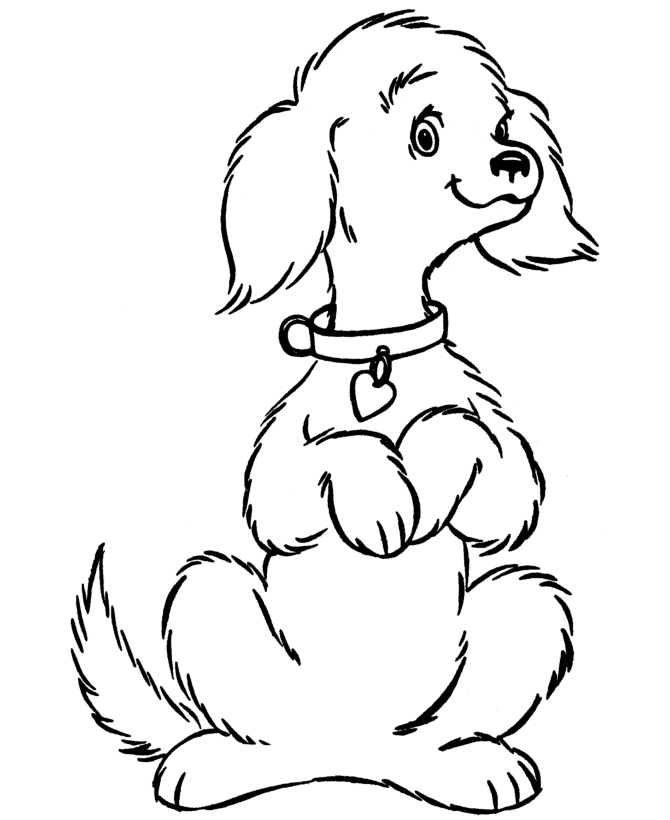 dog coloring pages for kids