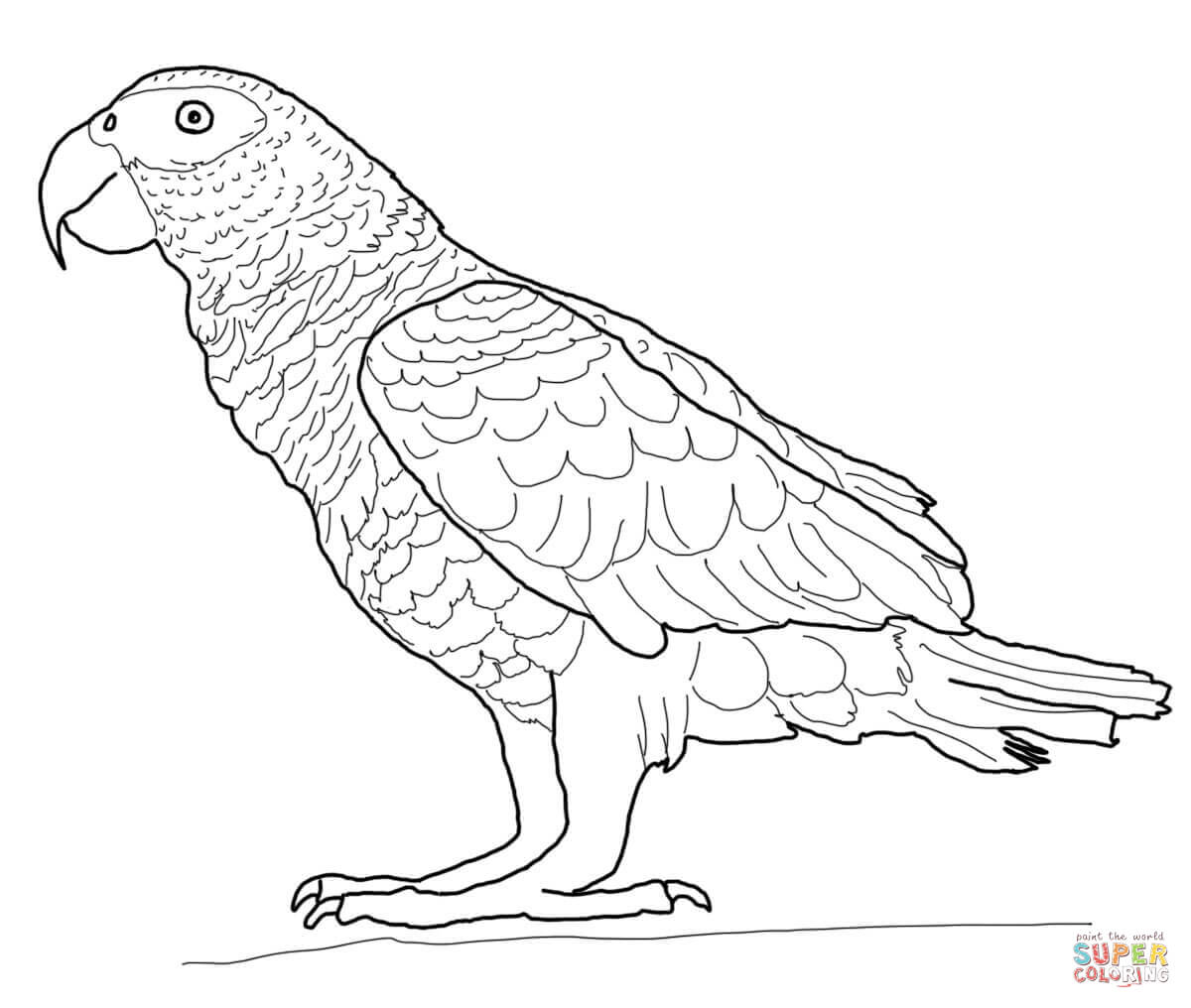Parrots coloring pages | Free Coloring Pages