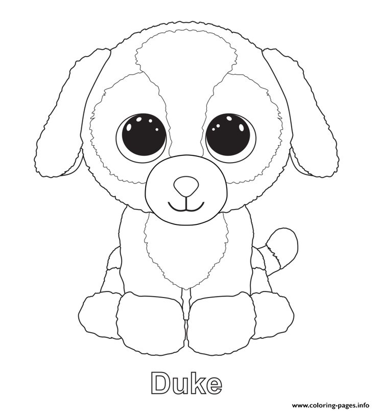 Print duke beanie boo Coloring pages | Baby coloring pages, Dog coloring  page, Beanie boo birthdays