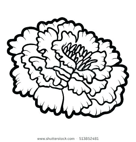 marigold coloring pages - Google Search | Flower drawing, Rose flower  tattoos, Flower stencil