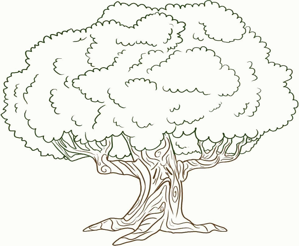 Family Tree Coloring Page - Coloring Pages for Kids and for Adults