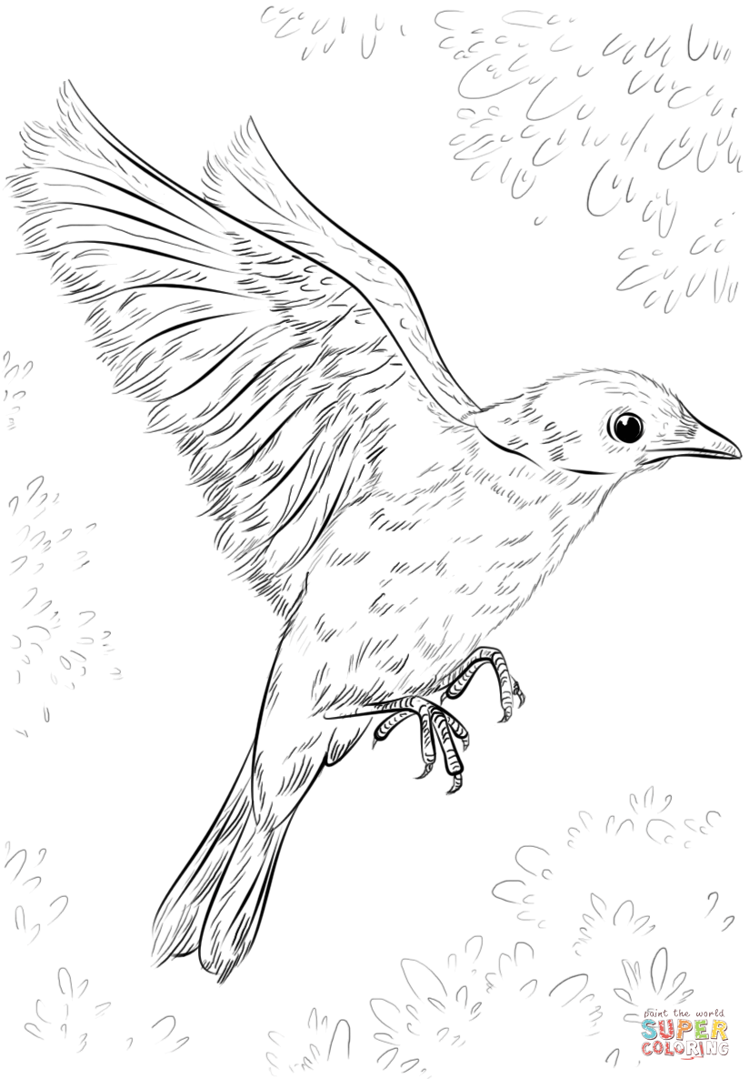 Blue Bird Flying coloring page | Free Printable Coloring Pages