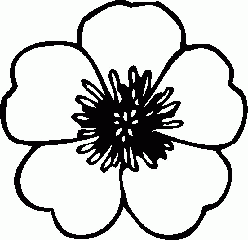 Flower Coloring Pages