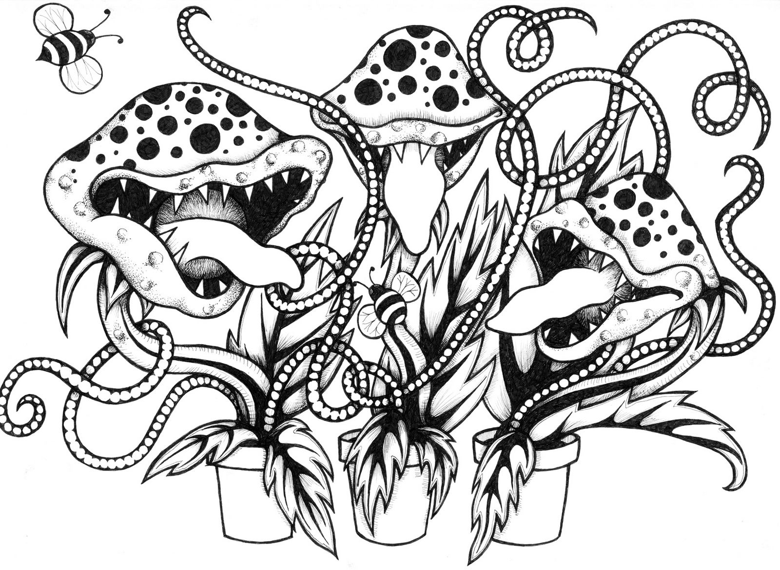 Pin on Venus Fly Trap Coloring Pages
