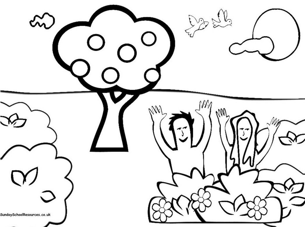 creation-story-coloring-pages-pictures-imagixs-842588 Â« Coloring ...