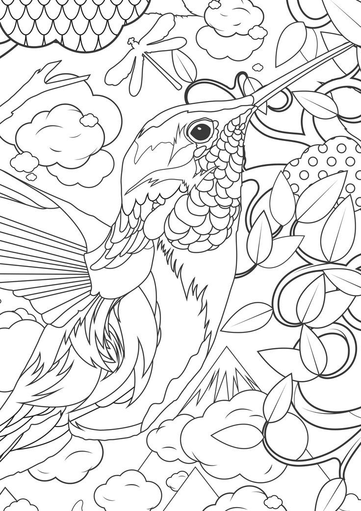 Hummingbird Coloring Pages | UniqueColoringPages