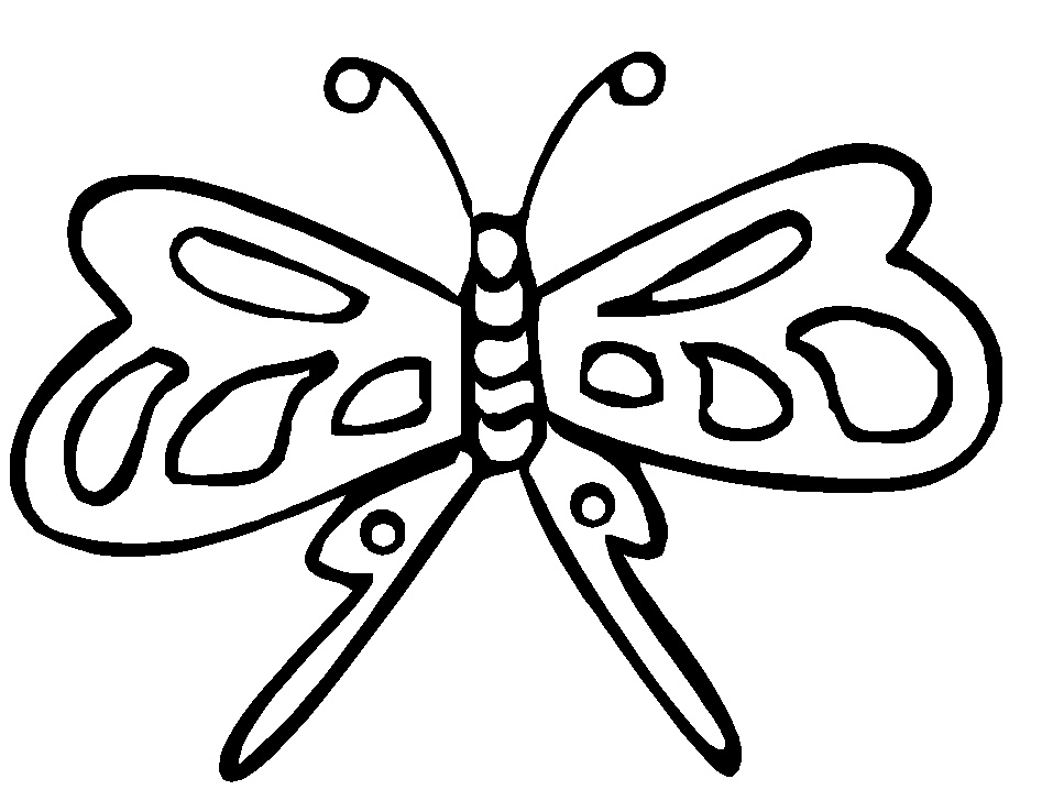 Butterfly 9 Animals Coloring Pages & Coloring Book