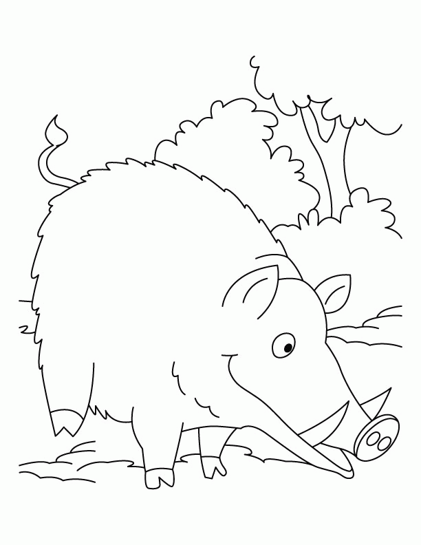 Wild Boar searching food coloring pages | Download Free Wild Boar 