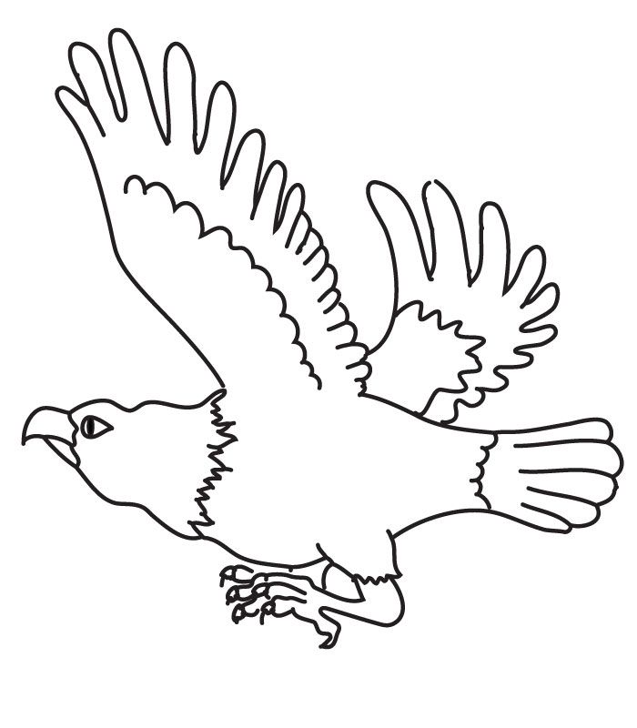 New president Barack Obama Coloring Page | obama care | obamacare 