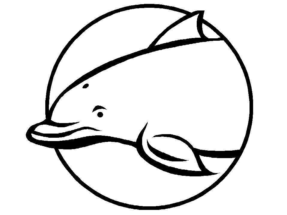 Dolphins K6 Animals Coloring Pages & Coloring Book