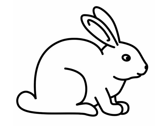 Coloring Pages Draw A Rabbit - Pipress.net