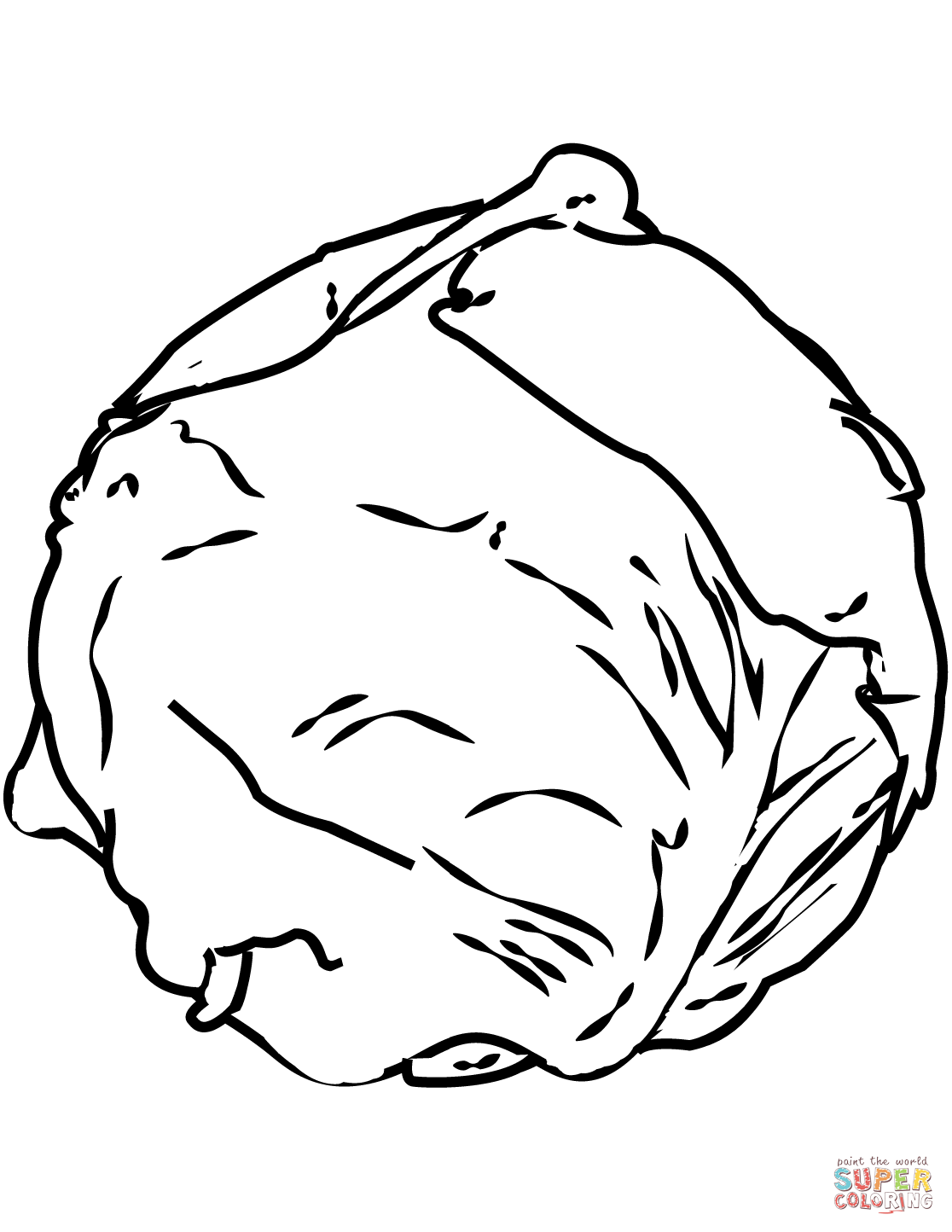 Cabbage coloring page | Free Printable Coloring Pages