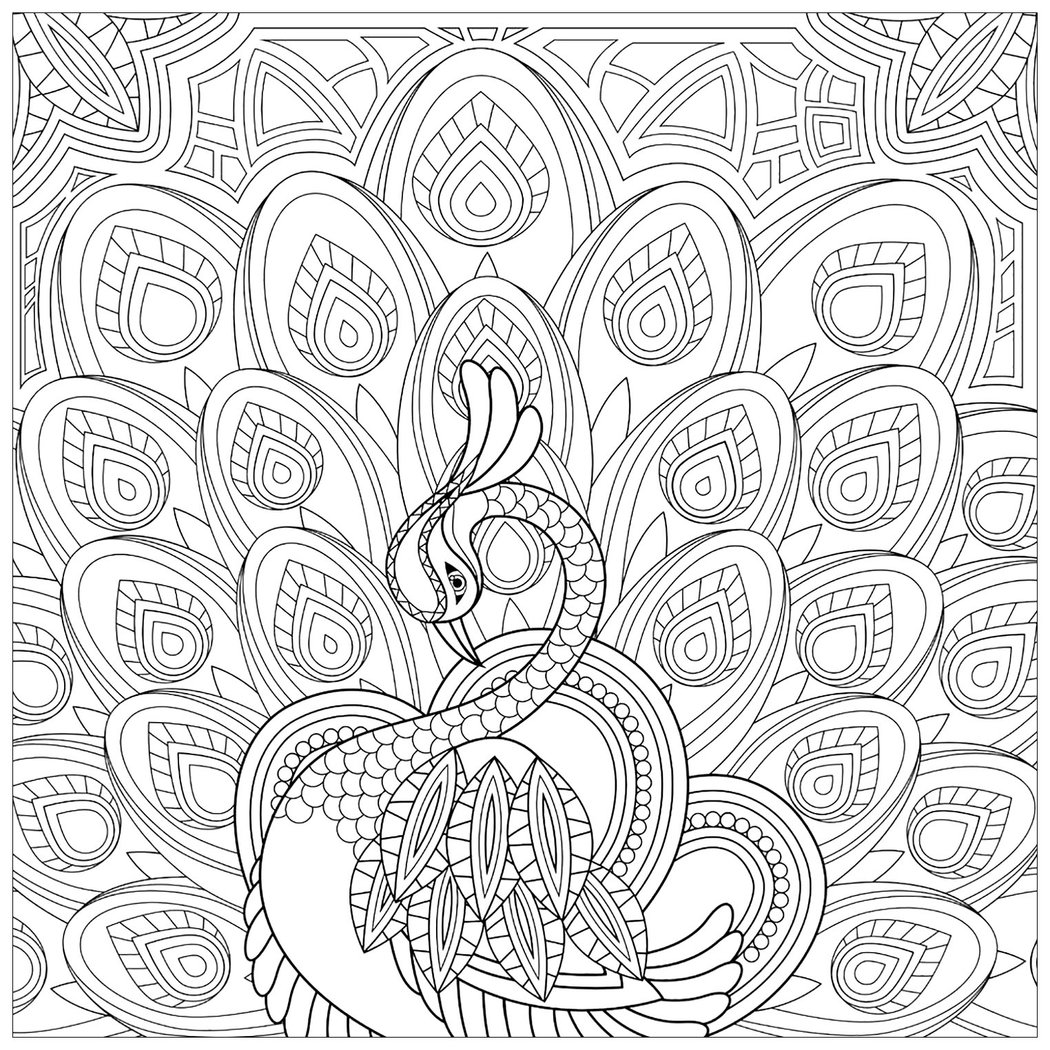 Coloring Pages : Peacocks Free To Color For Children Kids Coloring  Printable Zodiac Signs Lines And Angles Worksheet Decimal Arithmetic My  Math Website Giant Graph Paper Sums Year Olds Worksheets. Free Printable