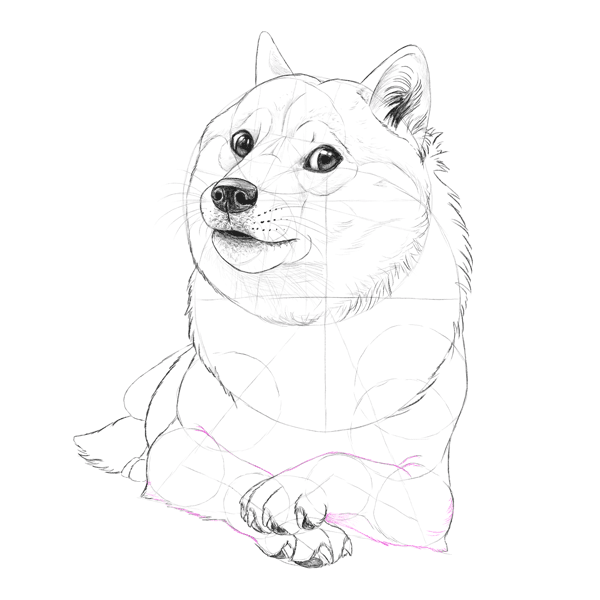 KrobKnea: Such Tutorial, Many Fun: How to Draw Doge!