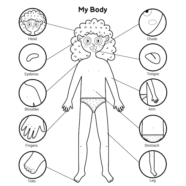 Premium Vector | My body parts black and white educational poster with a  girl. learning human body for school and preschool kids. coloring page  template.