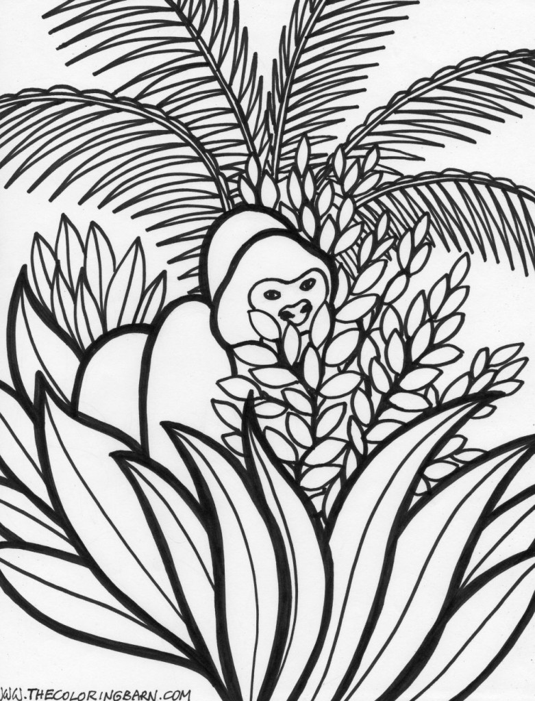 Rainforest Coloring Pages - The Coloring Barn