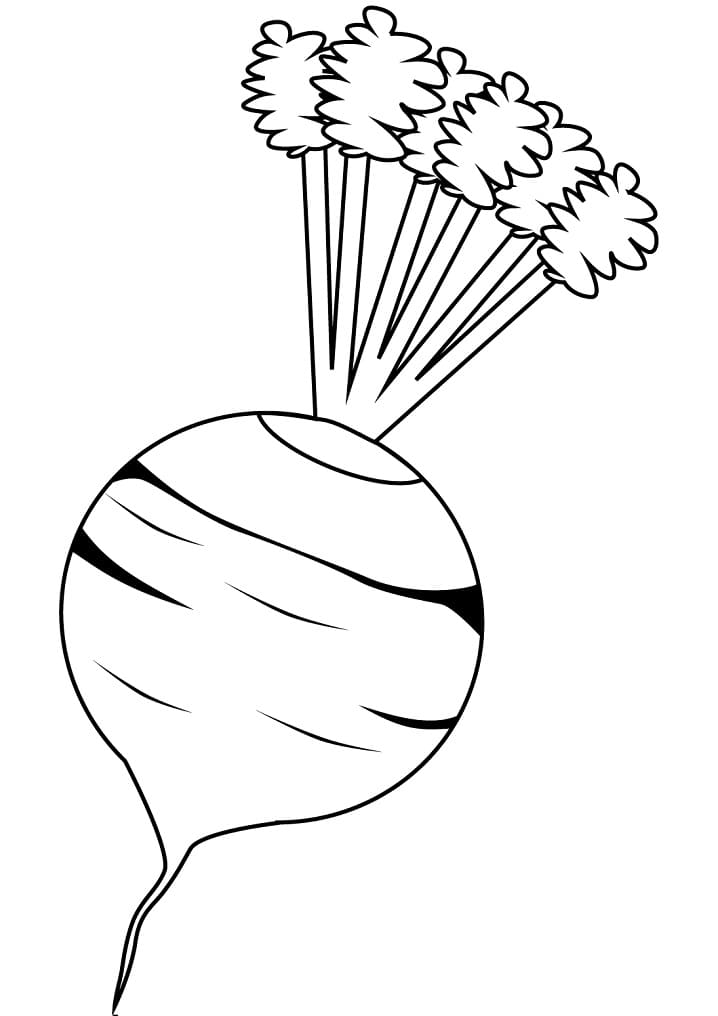 Free Beetroot Coloring Page - Free Printable Coloring Pages for Kids