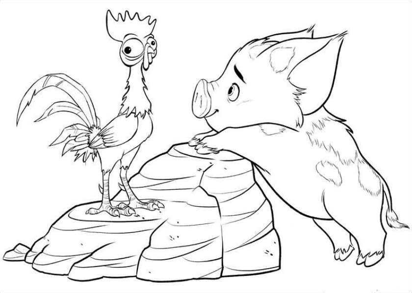 Kids-n-fun.com | Coloring page Moana pua heihei 2