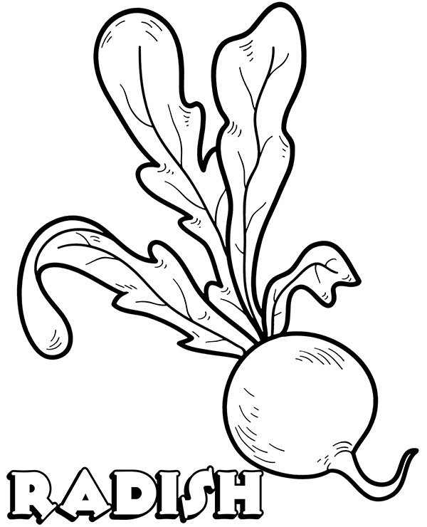 Radish easy coloring page sheet for kids - Topcoloringpages.net