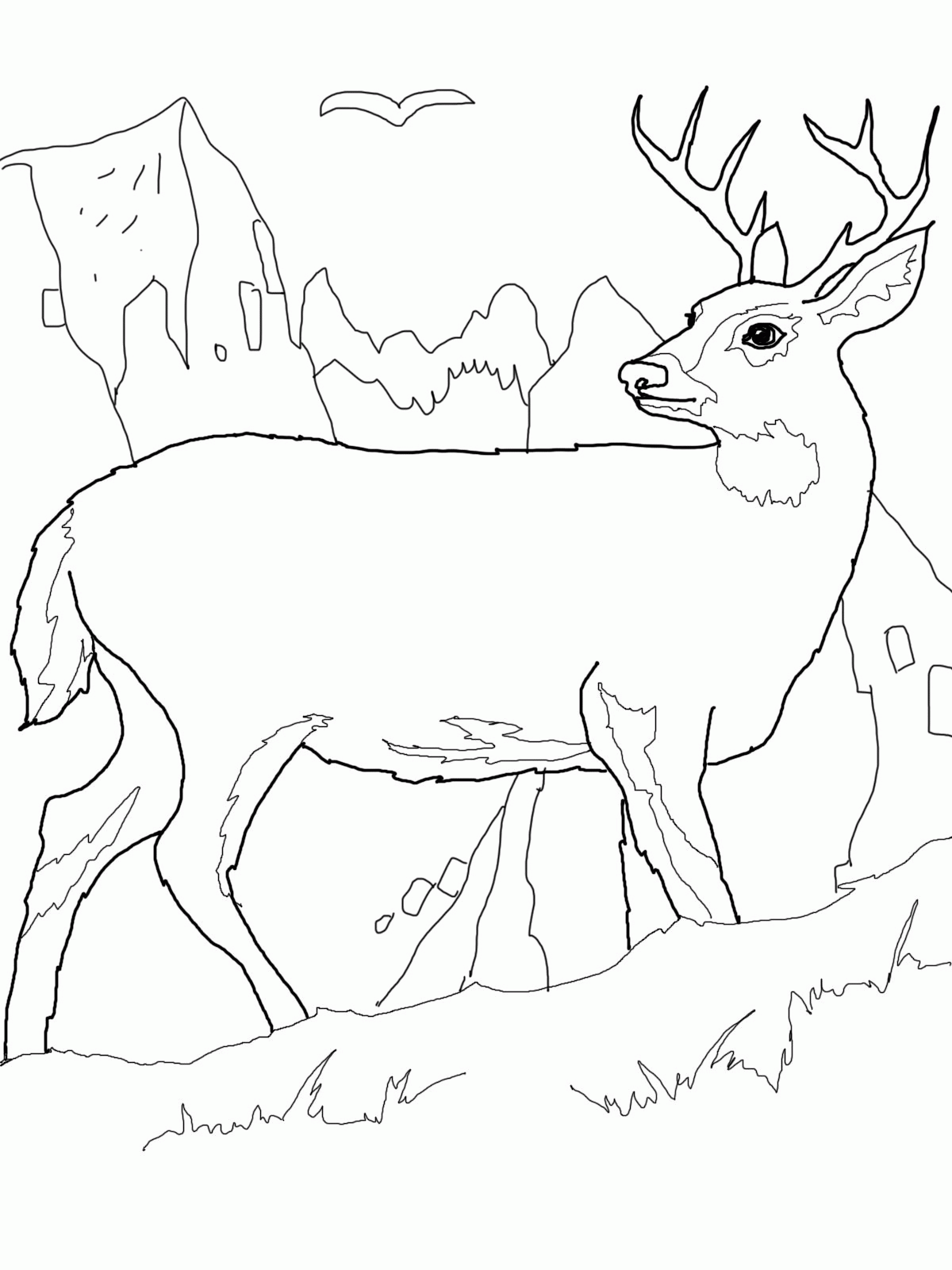 Free Printable Deer Coloring Pages For Kids