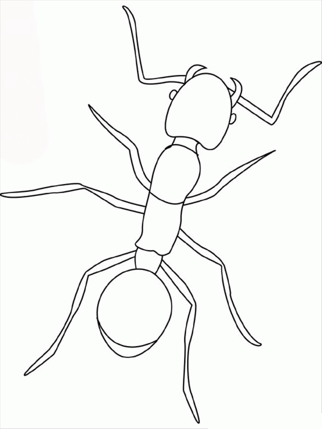 Free Printable Ant Coloring Pages For Kids