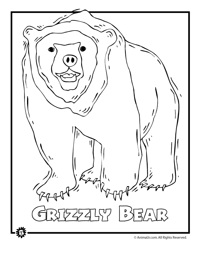 Animals Grizzly Bear Coloring Pages 300 X 300 26 Kb Jpeg | Fashion 